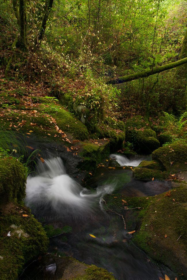 cr 16 waterfall creek fern autumn long exposure rivermindfulness marcelo leonard