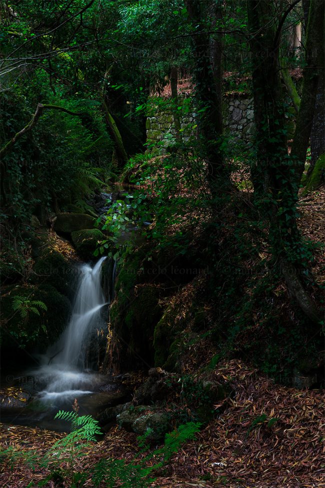 cr 18 waterfall creek long exposure mindfulness marcelo leonard