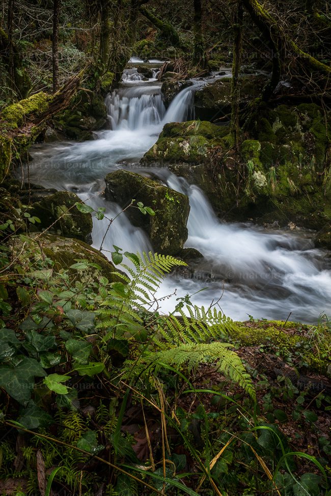 cr 21 waterfall creek fern long exposure river fern mindfulness marcelo leonard