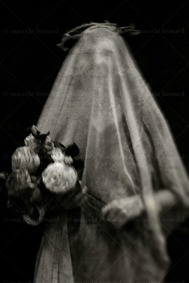 s05 photography conceptual surrealism darkmood oneiric black and white dreamlike self portrait blurred long exposure veil bouquet ghost thorn marcelo leonard