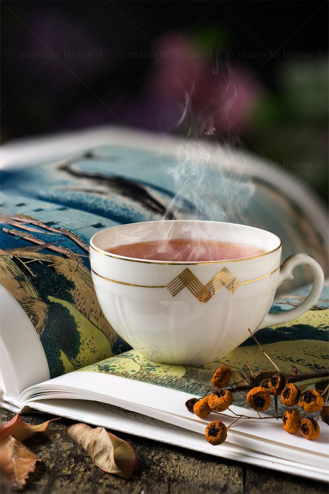b01 naturaleza muerta bodegon still life studio lighting tabletop food photography cup tea flower book vintage marcelo leonard