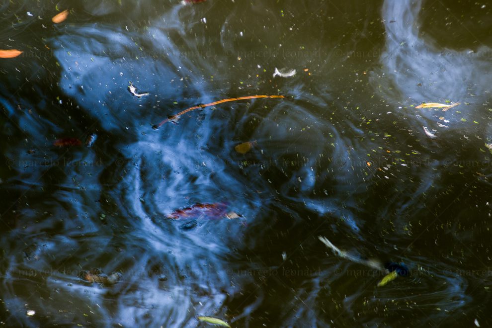 reflection colourful longexposure contrast blue water mindfulness marcelo leonard