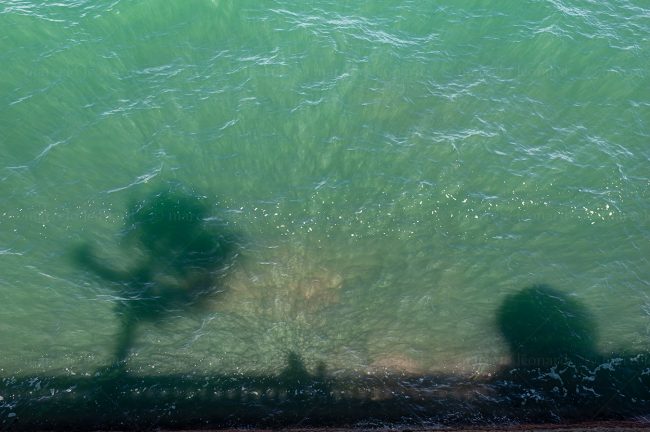 sea ocean wave shadow green mindfulness marcelo leonard