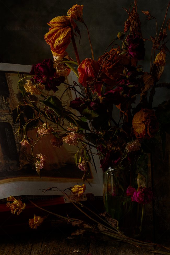01 flowers whitered decay still life studio lighting bouquet memories nostalgia mindfulness marcelo leonard