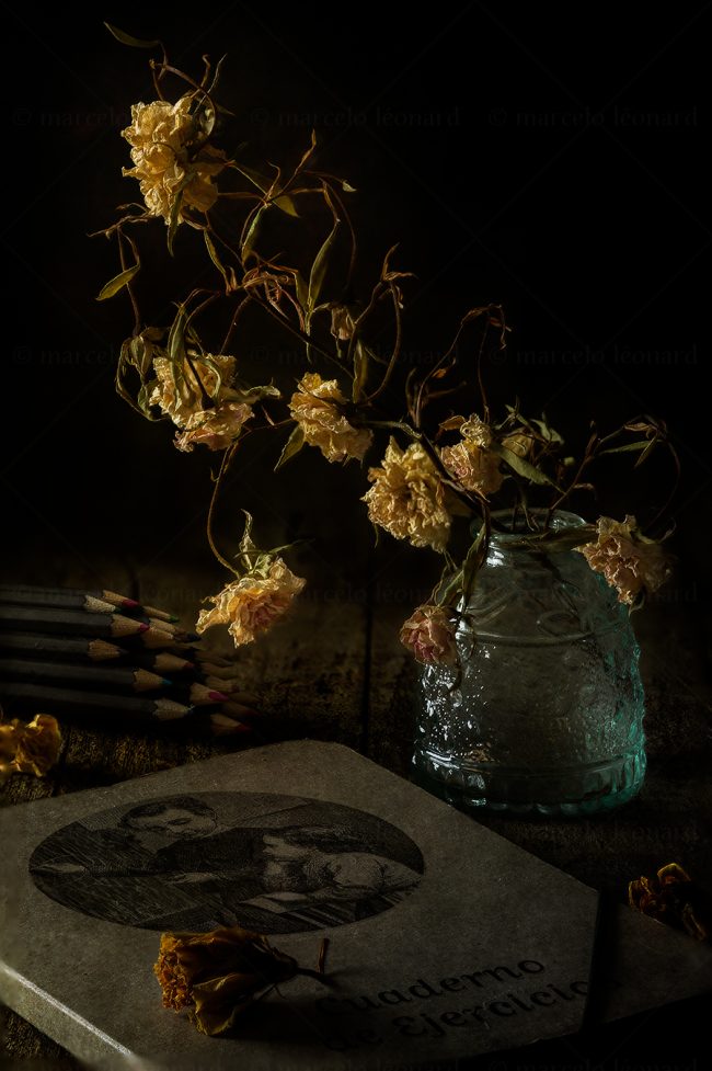 02 flowers whitered decay still life studio lighting bouquet memories nostalgia mindfulness marcelo leonard