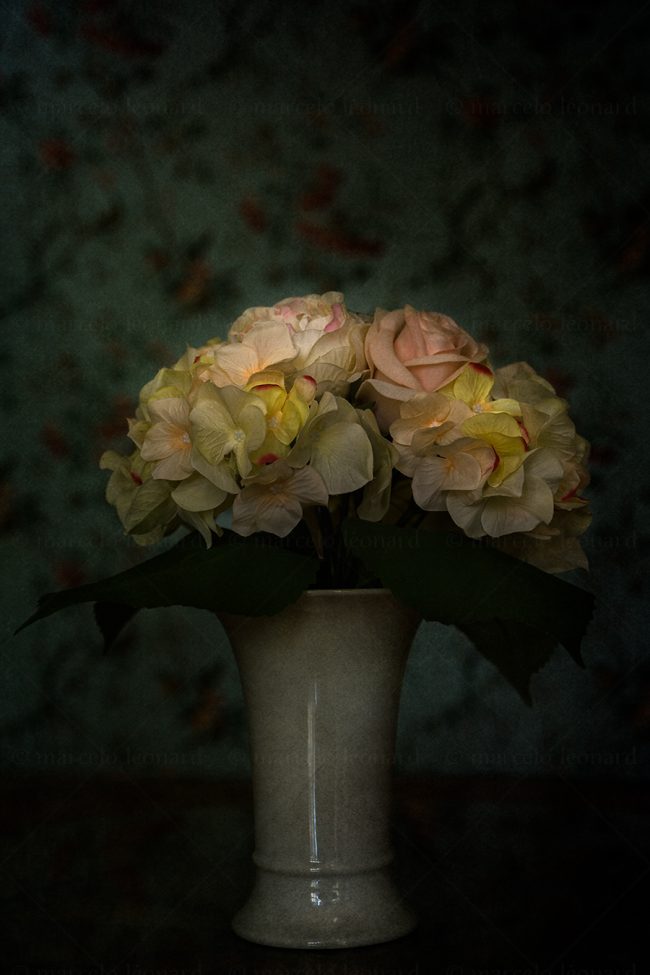 05 flowers whitered decay still life studio lighting bouquet memories nostalgia mindfulness marcelo leonard