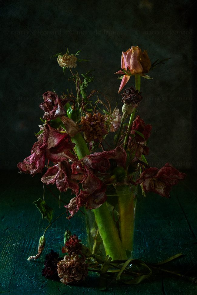 10 flowers whitered decay still life studio lighting bouquet memories nostalgia mindfulness marcelo leonard