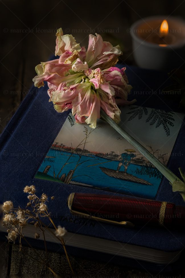 11 flowers whitered decay still life studio lighting bouquet memories nostalgia mindfulness marcelo leonard