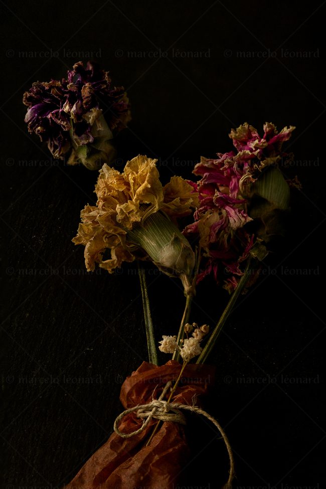 14 flowers whitered decay still life studio lighting bouquet memories nostalgia mindfulness marcelo leonard