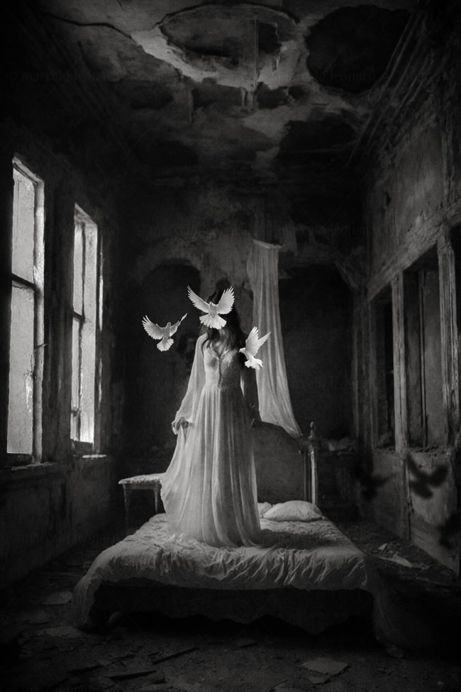 b01, window, bedroom, decay, doves, nightgown,bed, ruins, nightmare, dark mood, oneiric, dreamlike, marcelo leonard,