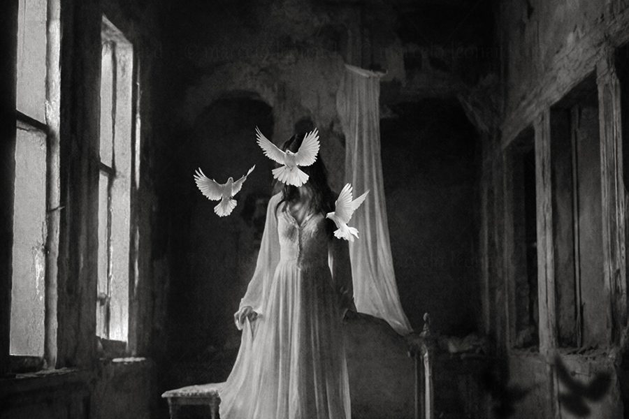 b01, window, bedroom, decay, doves, nightgown,bed, ruins, nightmare, dark mood, oneiric, dreamlike, marcelo leonard,