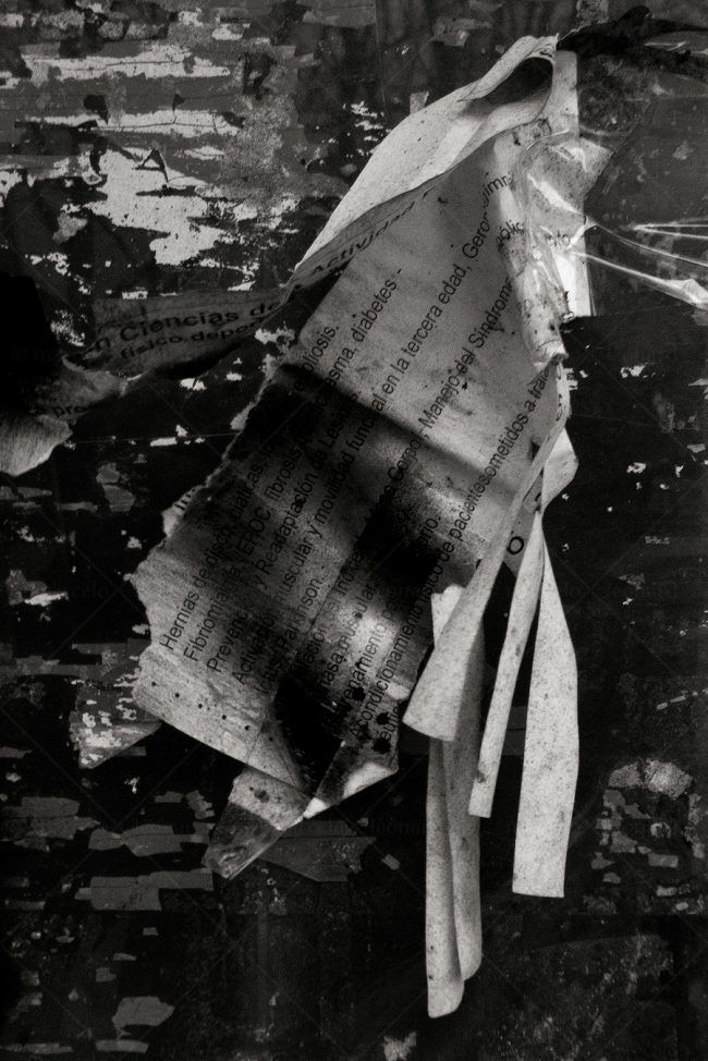 01 decay paper newspaper marceloleonard