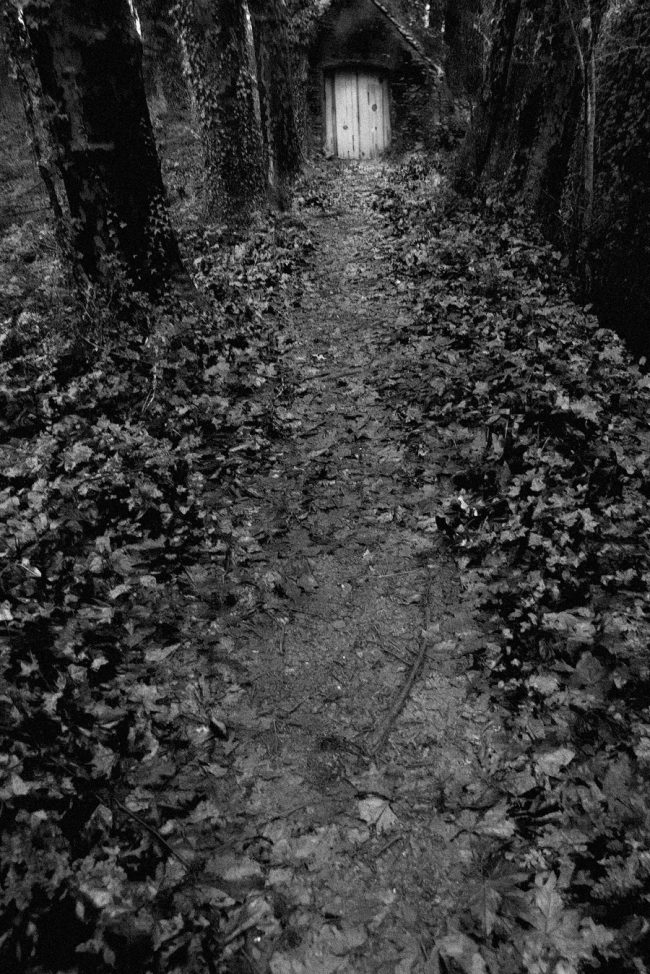 14 nature darkmood white door path decay broken conceptual photograph marcelo leonard