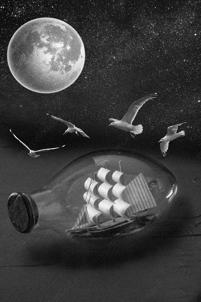 19 ship glass bottle moon seagull decay broken conceptual photograph marcelo leonard