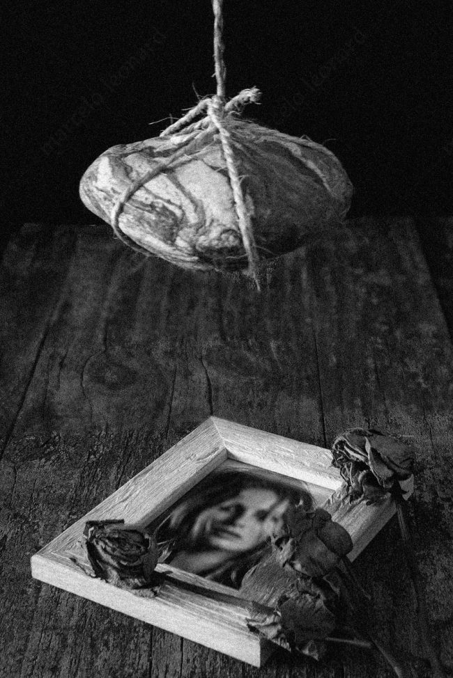 21 stone cord portrait decay flowers decay broken conceptual photograph marcelo leonard