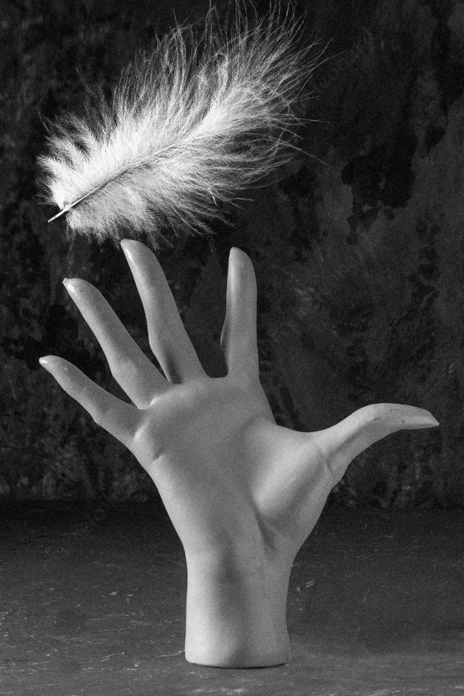 22 hand mannequin feather decay broken conceptual photograph marcelo leonard