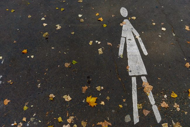 pavement leaves autumn sign marcelo leonard