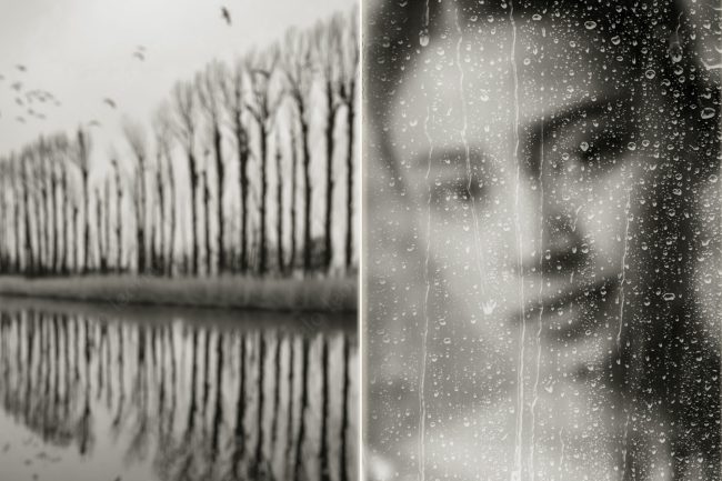 a 10 girl moisture drops window nude tree eiver reflection buddhism marcelo leonard