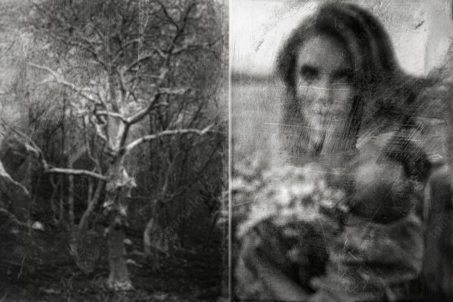 a 13 tree bare nude girl woman withered floweers decay buddhism marcelo leonard