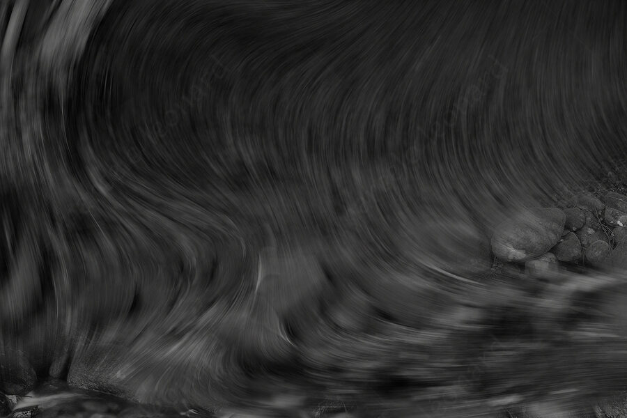 01 forest oneiric fineart black&white tree mindfulness marcelo leonard