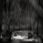 03 forest oneiric fineart black&white tree waterfall mindfulness marcelo leonard