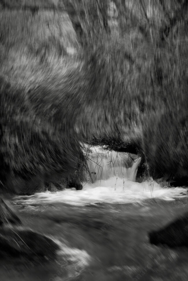 15 forest oneiric fineart river waterfall black&white tree mindfulness marcelo leonard