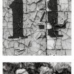 02 duo 18 number wall texture decay whitered flower zen koan marcelo leonard