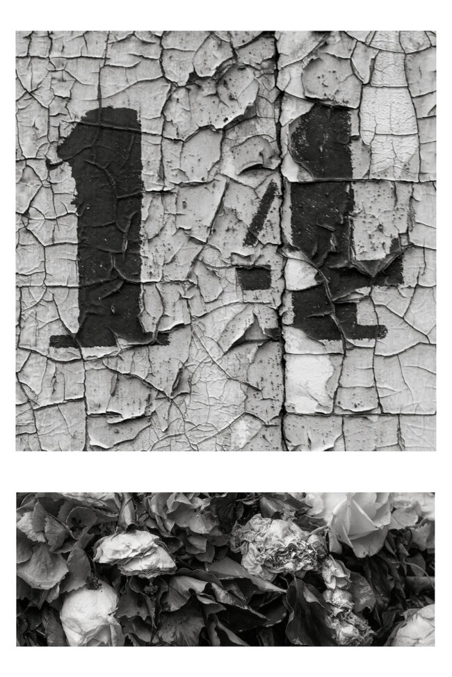 02 duo 18 number wall texture decay whitered flower zen koan marcelo leonard