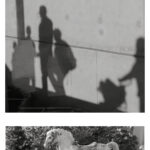 03 duo 19 shadows wall tiy horse zen koan marcelo leonard