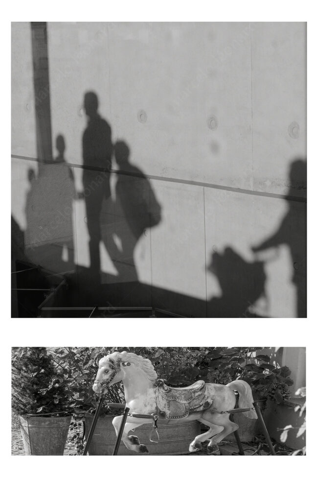03 duo 19 shadows wall tiy horse zen koan marcelo leonard