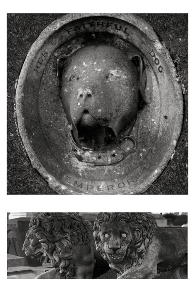 05 duo 09 grave tomb dog lion statue zen cemetery koan marcelo leonard
