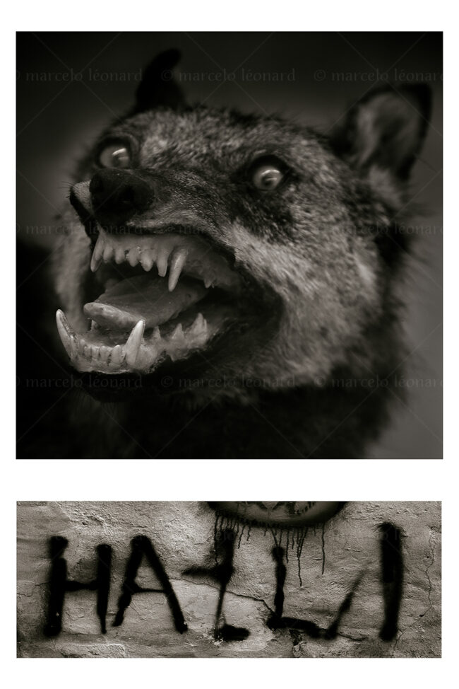 08 duo 03 wolf sign graffit darkmood zen koan marcelo leonardi