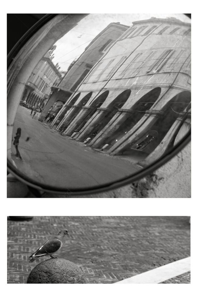 12 duo 15 mirror reflection street dove zen koan marcelo leonard
