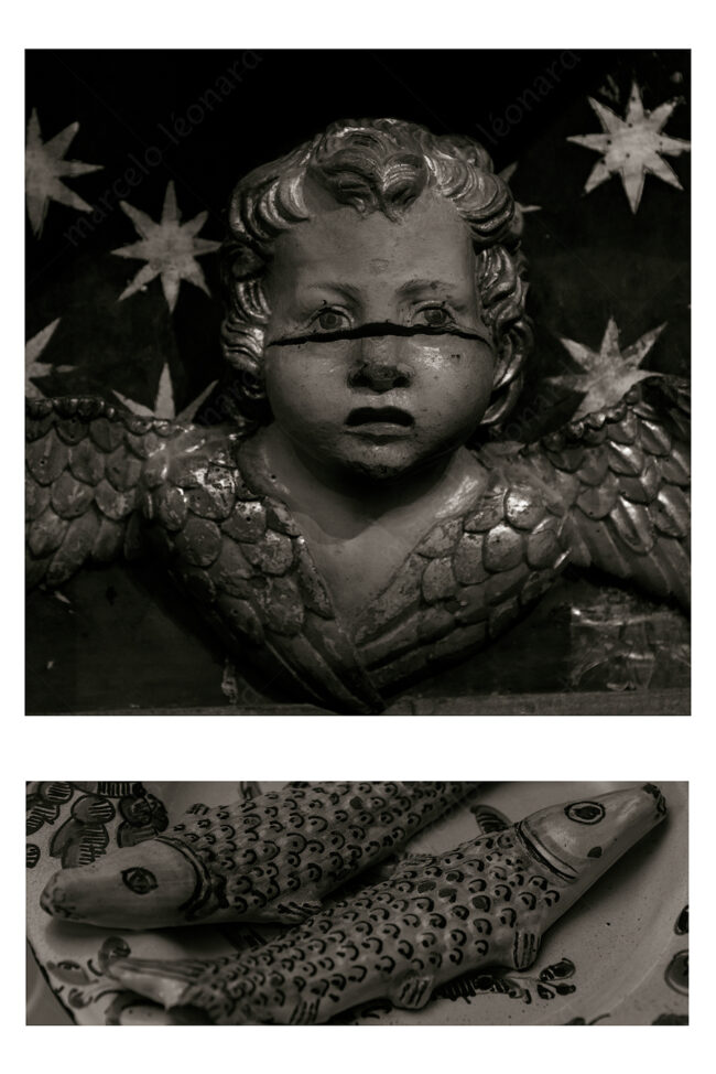 16 duo 06 angel reñigious star fish zen koan marcelo leonard