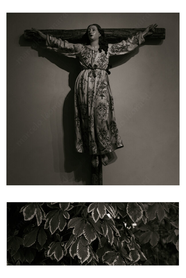 17 duo 05 virgin crucifix religios leaf leaves zen koan marcelo leonard