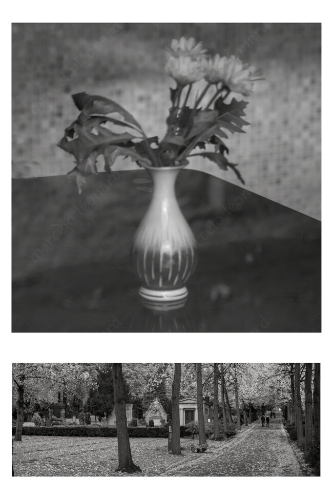19 duo 20 bouquet flower withered decay autumn cemetery zen koan marcelo leonard