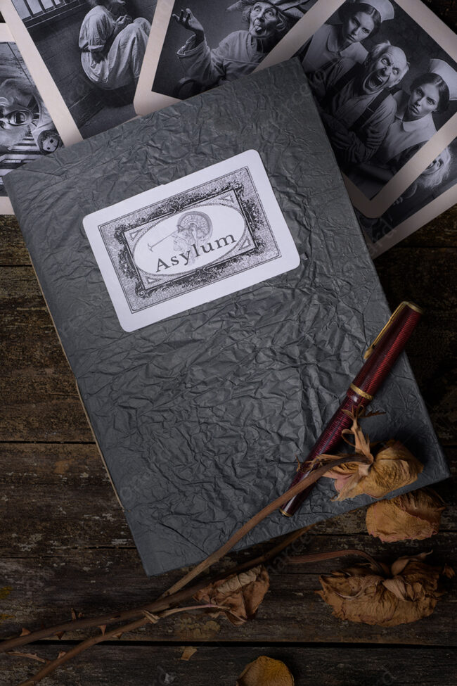 01 asylum srapbook mixed media decay withered flower marcelo leonard