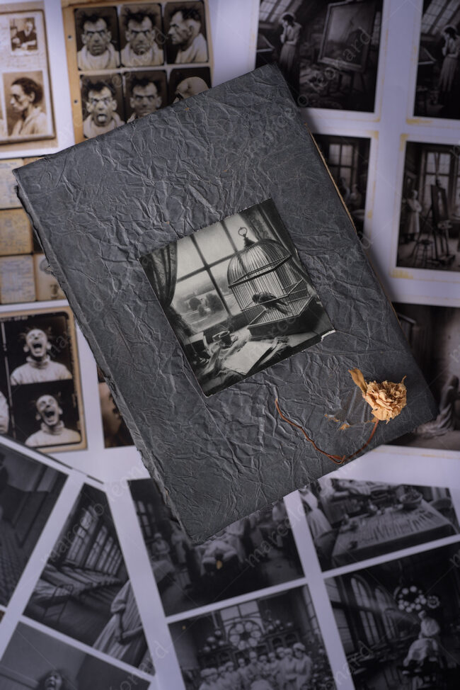 03 asylum srapbook mixed media decay withered flower old photographs marcelo leonard
