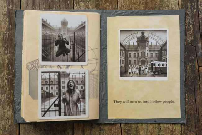 18 asylum srapbook mixed media decay old photograph lunatic marcelo leonard