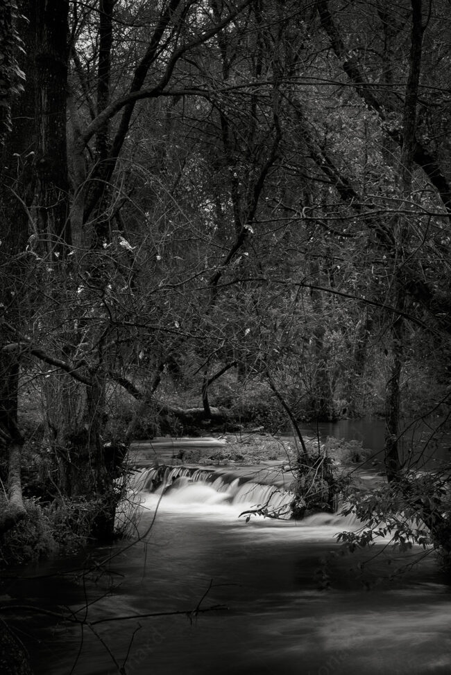 08 nature, forest, river, waterfall, trees