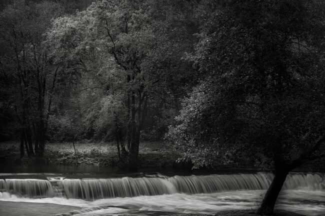 10 forest, mist, river, waterfall, tree